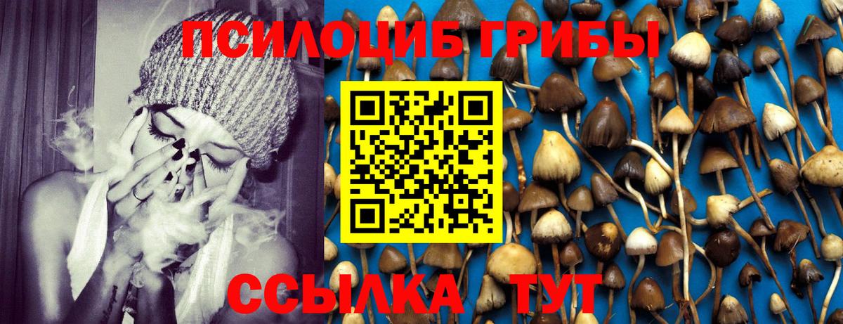 Псилоцибиновые грибы мицелий  Вход с VPN  Туймазы 